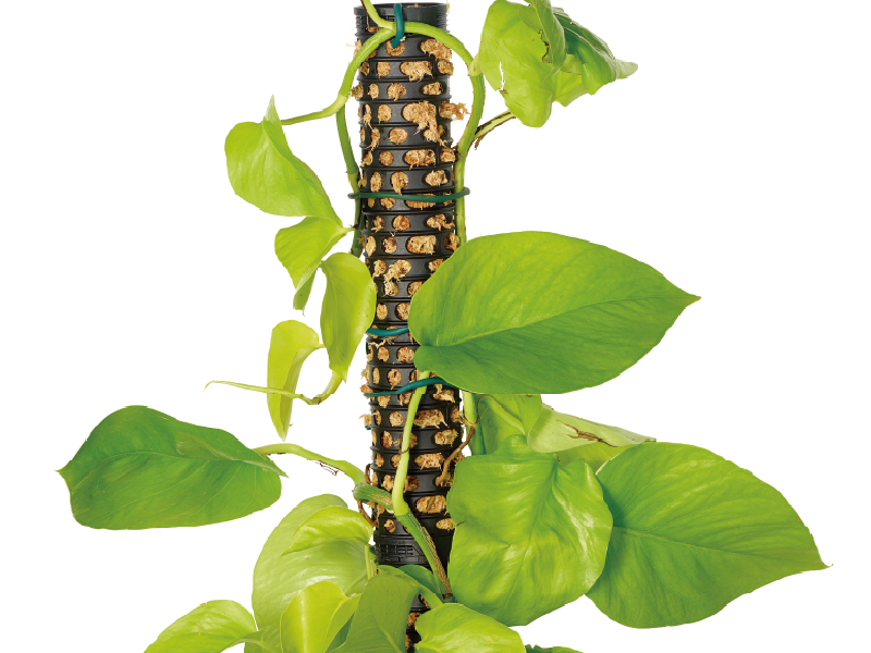 Moss Pole(Plant Support Pole for Climbing Plants)